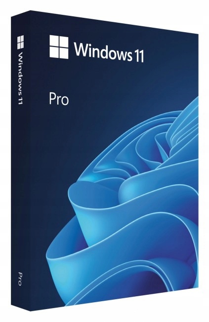 Microsoft Windows 11 Professional